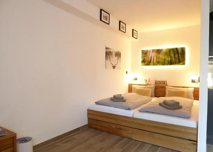 Sunshine Pool Sauna Terrasse Wifi Appartement *