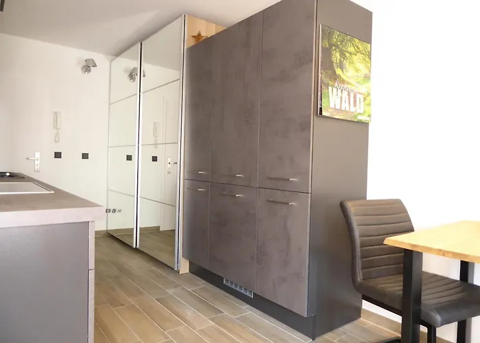 Sunshine Pool Sauna Terrasse Wifi Apartamento Winterberg